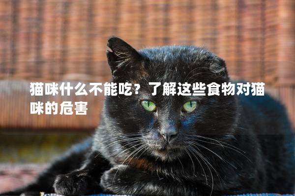 猫咪什么不能吃？了解这些食物对猫咪的危害