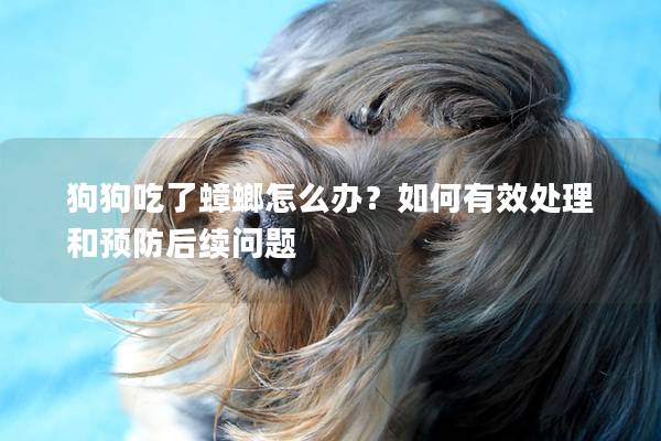 狗狗吃了蟑螂怎么办？如何有效处理和预防后续问题