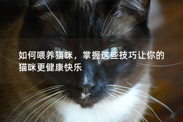 如何喂养猫咪，掌握这些技巧让你的猫咪更健康快乐