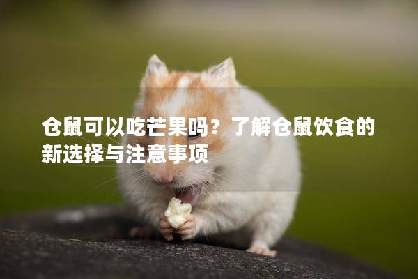 仓鼠可以吃芒果吗？了解仓鼠饮食的新选择与注意事项