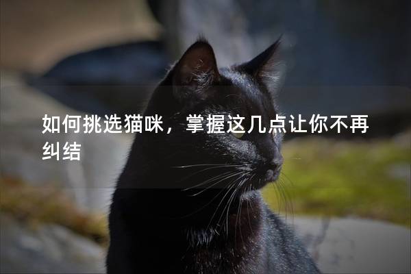 如何挑选猫咪,掌握这几点让你不再纠结 如何挑选猫咪,掌握这几点让你不再纠结