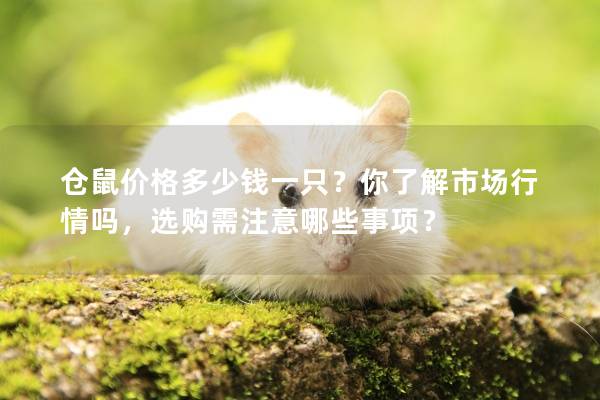 仓鼠价格多少钱一只？你了解市场行情吗，选购需注意哪些事项？