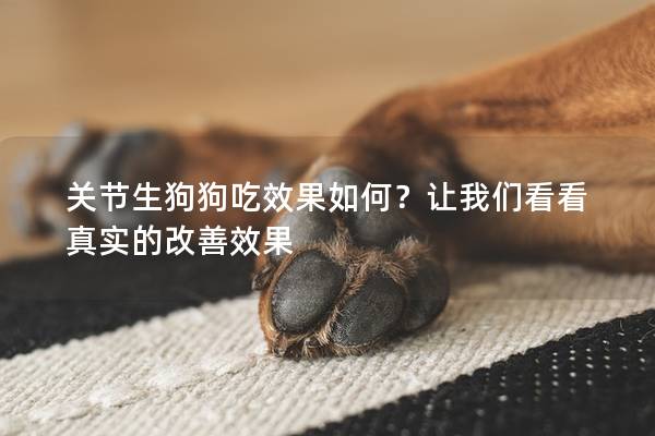 关节生狗狗吃效果如何?让我们看看真实的改善效果 关节生狗狗吃效果如何?让我们看看真实的改善效果