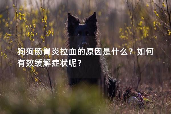 狗狗肠胃炎拉血的原因是什么?如何有效缓解症状呢? 狗狗肠胃炎拉血的原因是什么?如何有效缓解症状呢?
