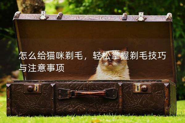 怎么给猫咪剃毛,轻松掌握剃毛技巧与注意事项 怎么给猫咪剃毛,轻松掌握剃毛技巧与注意事项