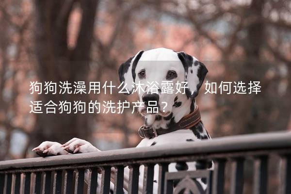 狗狗洗澡用什么沐浴露好，如何选择适合狗狗的洗护产品？