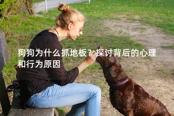 狗狗为什么抓地板？探讨背后的心理和行为原因