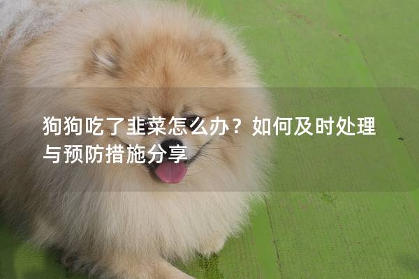狗狗吃了韭菜怎么办？如何及时处理与预防措施分享