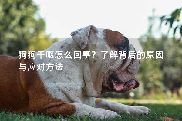 狗狗干呕怎么回事？了解背后的原因与应对方法