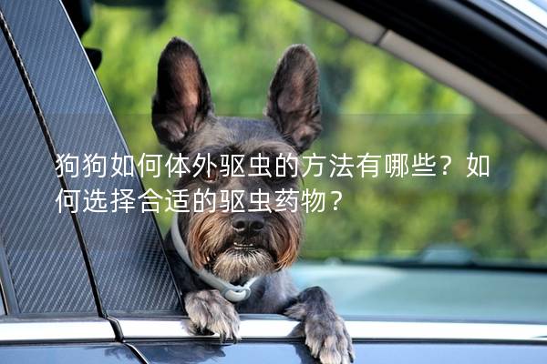 狗狗如何体外驱虫的方法有哪些？如何选择合适的驱虫药物？