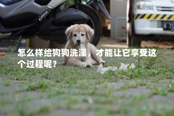 怎么样给狗狗洗澡，才能让它享受这个过程呢？