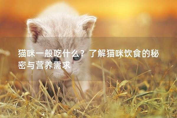 猫咪一般吃什么？了解猫咪饮食的秘密与营养需求