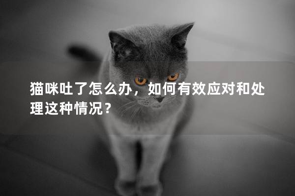 猫咪吐了怎么办，如何有效应对和处理这种情况？