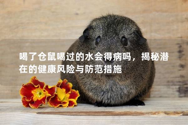 喝了仓鼠喝过的水会得病吗，揭秘潜在的健康风险与防范措施