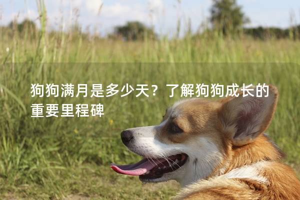 狗狗满月是多少天？了解狗狗成长的重要里程碑