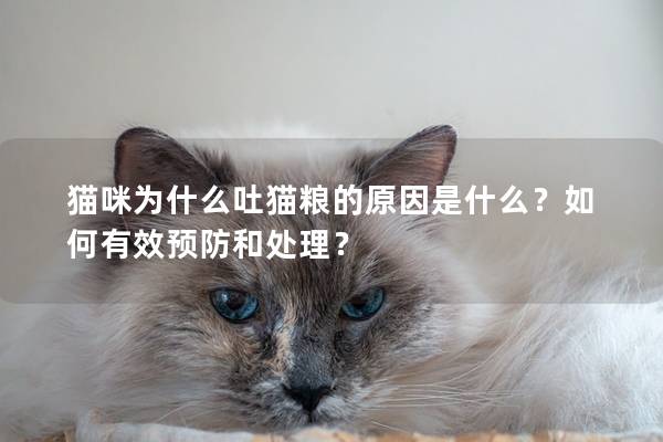 猫咪为什么吐猫粮的原因是什么？如何有效预防和处理？
