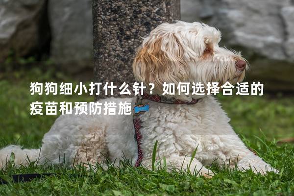 狗狗细小打什么针？如何选择合适的疫苗和预防措施