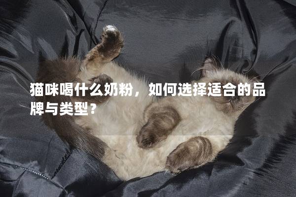 猫咪喝什么奶粉，如何选择适合的品牌与类型？