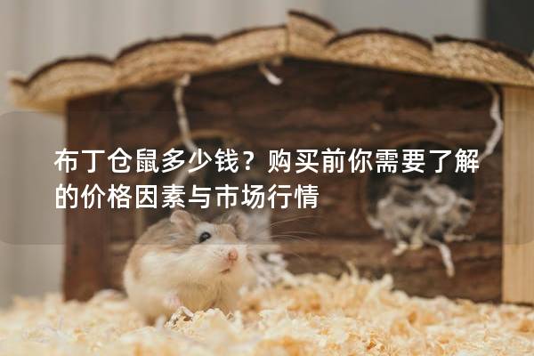 布丁仓鼠多少钱？购买前你需要了解的价格因素与市场行情