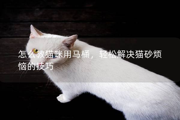 怎么教猫咪用马桶，轻松解决猫砂烦恼的技巧