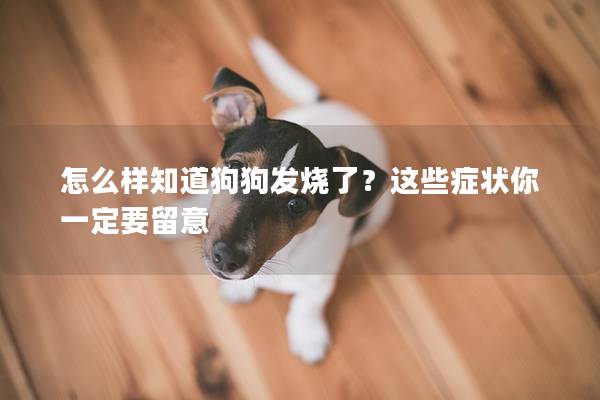 怎么样知道狗狗发烧了？这些症状你一定要留意