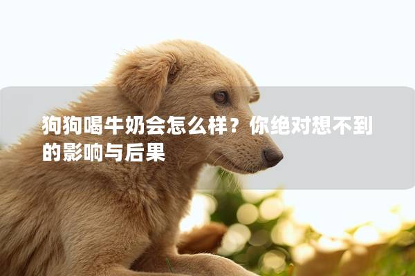 狗狗喝牛奶会怎么样？你绝对想不到的影响与后果
