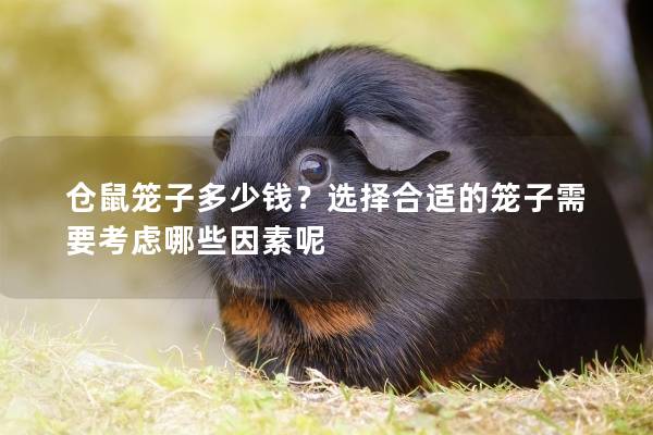 仓鼠笼子多少钱?选择合适的笼子需要考虑哪些因素呢 仓鼠笼子多少钱?选择合适的笼子需要考虑哪些因素呢