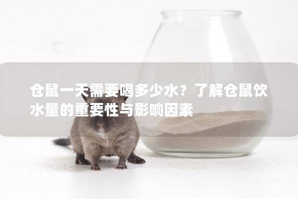 仓鼠一天需要喝多少水？了解仓鼠饮水量的重要性与影响因素