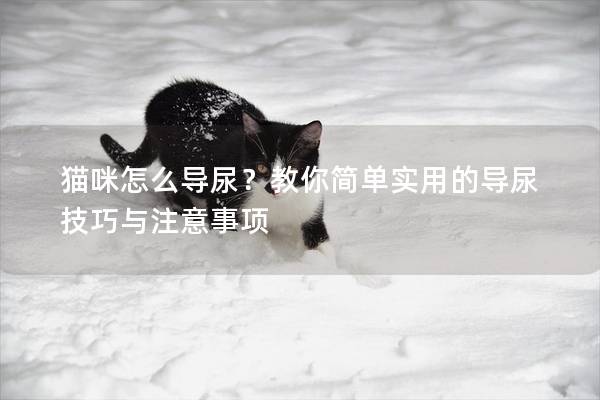 猫咪怎么导尿？教你简单实用的导尿技巧与注意事项