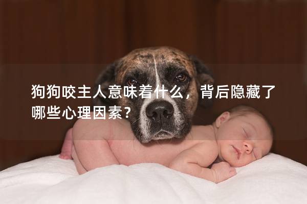 狗狗咬主人意味着什么，背后隐藏了哪些心理因素？