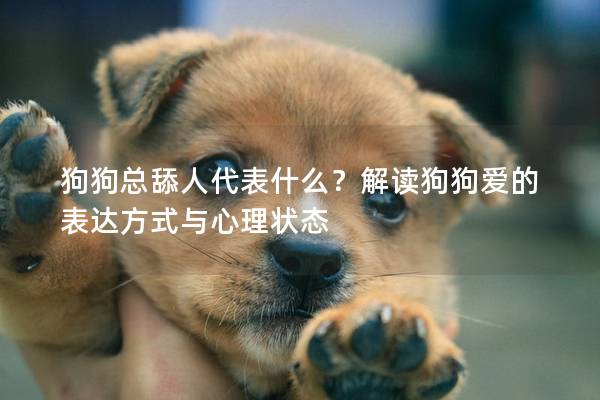 狗狗总舔人代表什么？解读狗狗爱的表达方式与心理状态