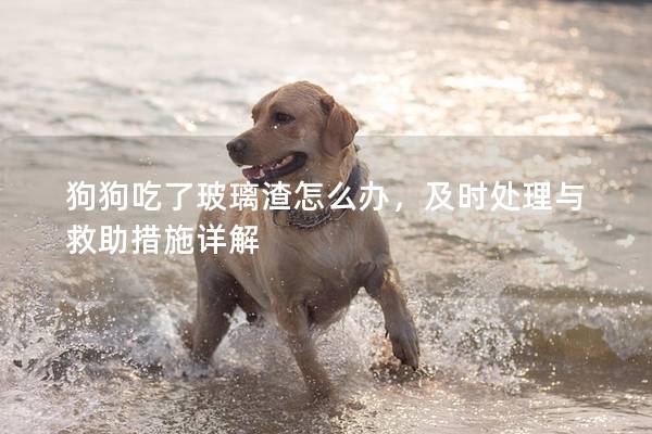 狗狗吃了玻璃渣怎么办，及时处理与救助措施详解