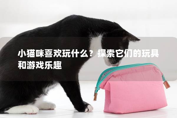 小猫咪喜欢玩什么？探索它们的玩具和游戏乐趣