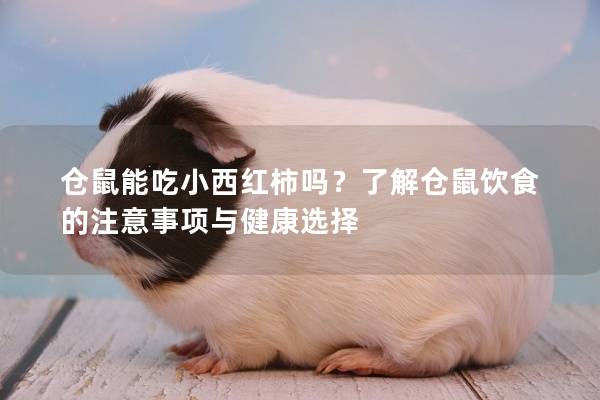仓鼠能吃小西红柿吗？了解仓鼠饮食的注意事项与健康选择