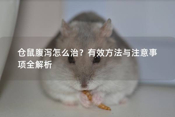 仓鼠腹泻怎么治？有效方法与注意事项全解析
