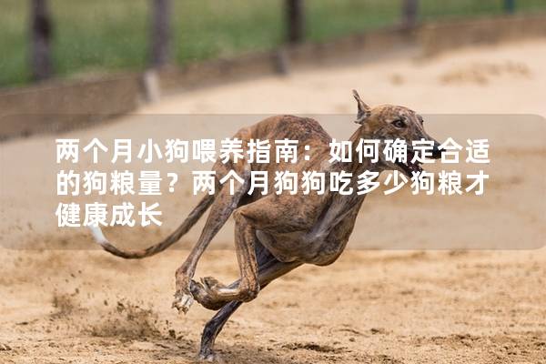 两个月小狗喂养指南：如何确定合适的狗粮量？两个月狗狗吃多少狗粮才健康成长