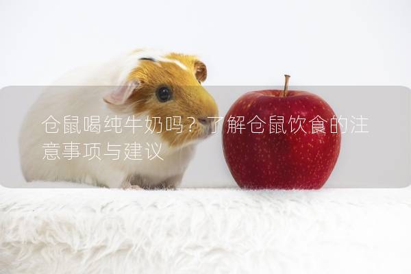 仓鼠喝纯牛奶吗？了解仓鼠饮食的注意事项与建议