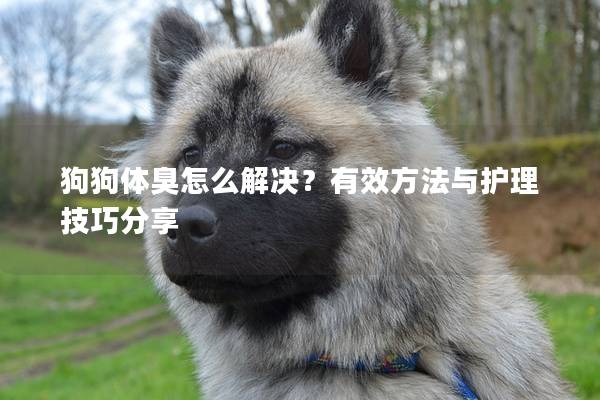 狗狗体臭怎么解决？有效方法与护理技巧分享