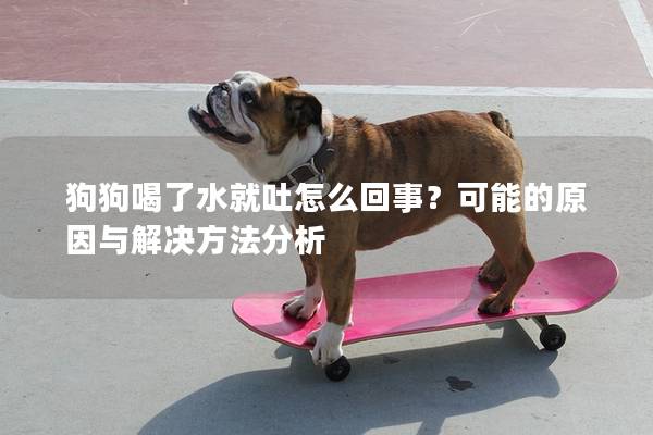 狗狗喝了水就吐怎么回事？可能的原因与解决方法分析