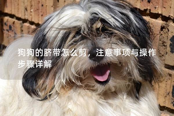 狗狗的脐带怎么剪，注意事项与操作步骤详解