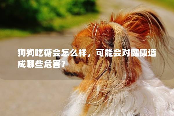 狗狗吃糖会怎么样，可能会对健康造成哪些危害？