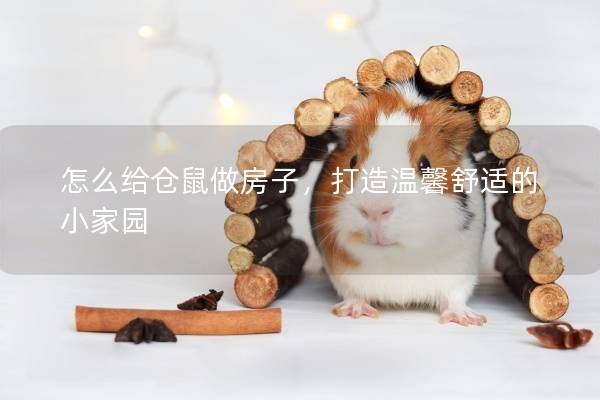 怎么给仓鼠做房子，打造温馨舒适的小家园
