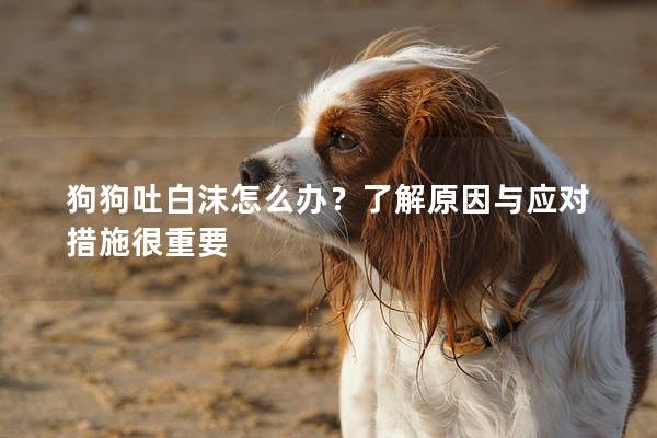 狗狗吐白沫怎么办？了解原因与应对措施很重要