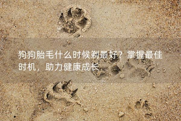 狗狗胎毛什么时候剃最好？掌握最佳时机，助力健康成长