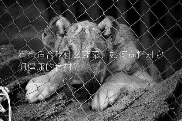 狗狗适合吃什么蔬菜，如何选择对它们健康的食材？