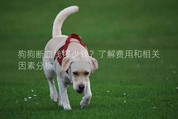 狗狗断血线多少钱？了解费用和相关因素分析