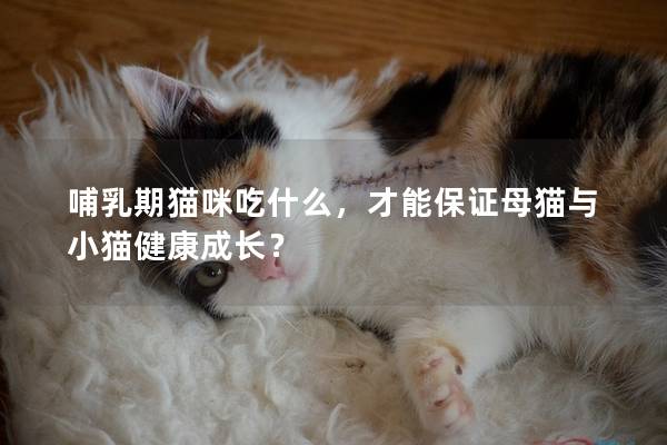 哺乳期猫咪吃什么,才能保证母猫与小猫健康成长? 哺乳期猫咪吃什么,才能保证母猫与小猫健康成长?