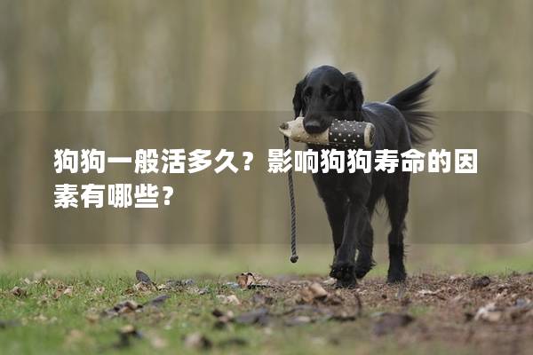 狗狗一般活多久?影响狗狗寿命的因素有哪些? 狗狗一般活多久?影响狗狗寿命的因素有哪些?