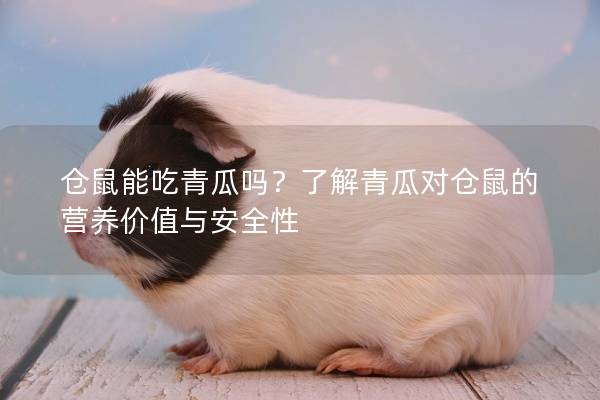 仓鼠能吃青瓜吗？了解青瓜对仓鼠的营养价值与安全性
