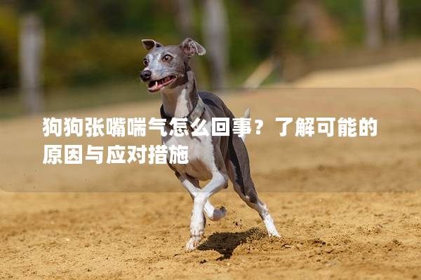 狗狗张嘴喘气怎么回事？了解可能的原因与应对措施